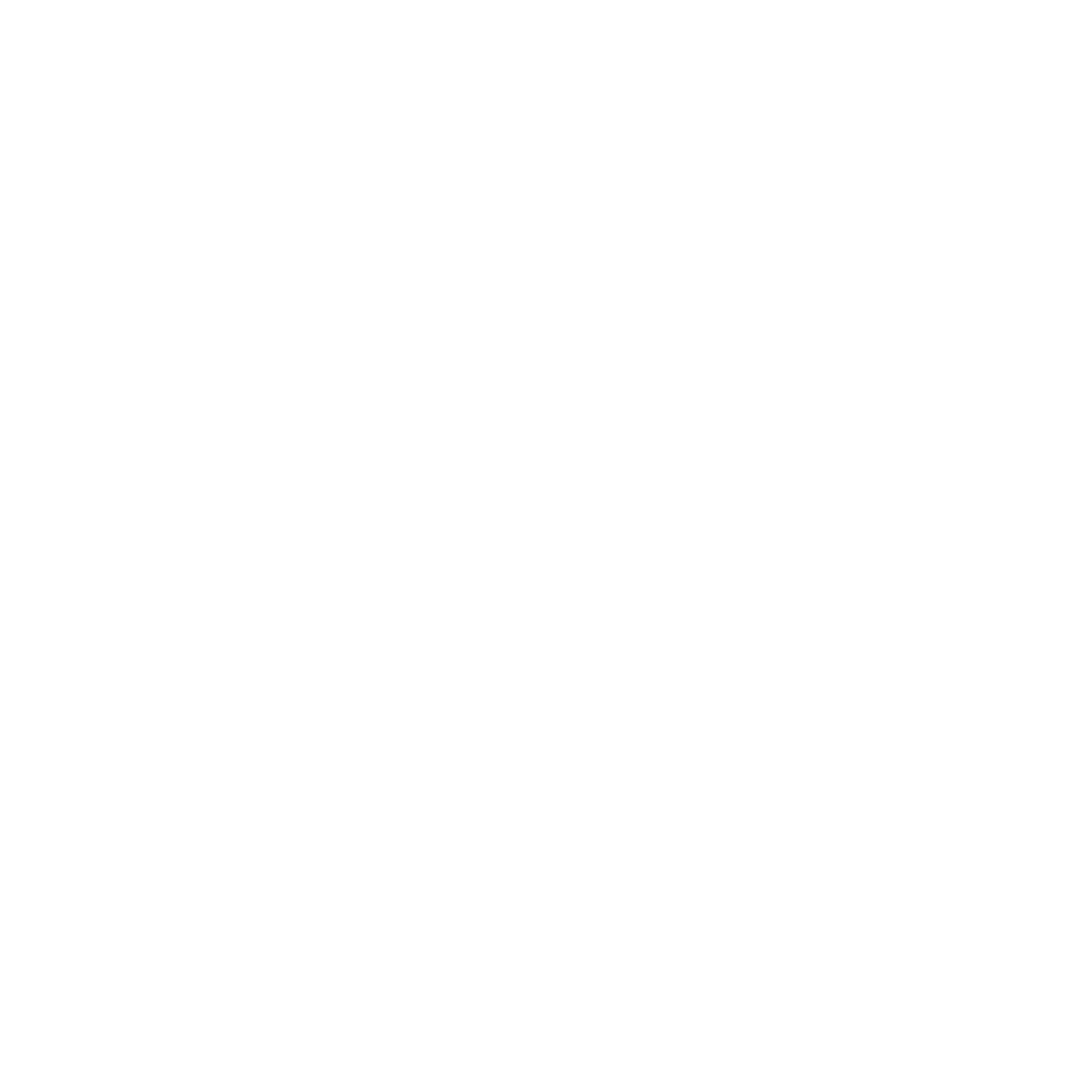 dlshoplogo_logo_reversecolor